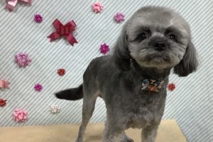 2月のお友達☆
