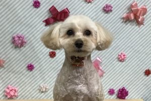 2月のお友達☆