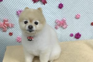 2月のお友達☆