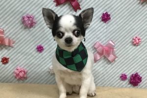 2月のお友達☆