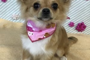 2月のお友達☆