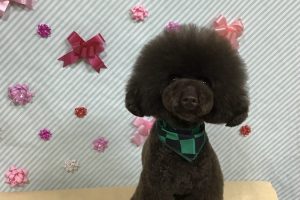 2月のお友達☆