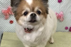 2月のお友達☆