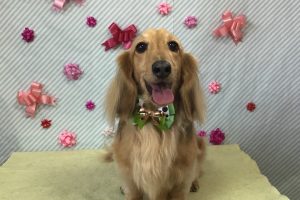 2月のお友達☆