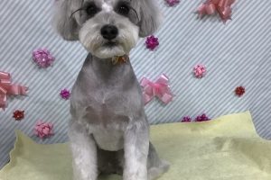 2月のお友達☆