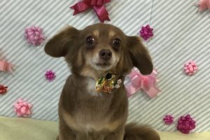 2月のお友達☆