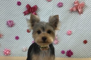 2月のお友達☆