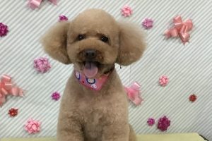 2月のお友達☆