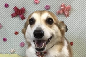 2月のお友達☆