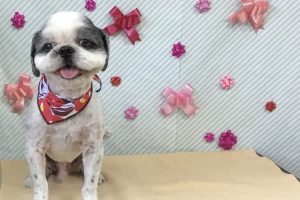 2月のお友達☆