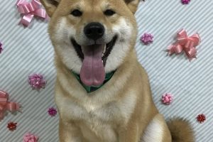 2月のお友達☆