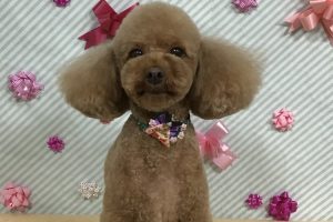 2月のお友達☆