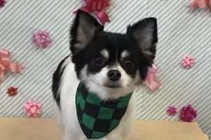 2月のお友達☆