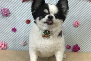 2月のお友達☆