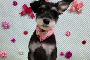 2月のお友達☆