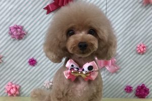 2月のお友達☆