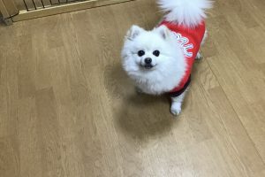 お泊り☆