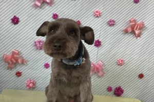 ２月のお友達☆