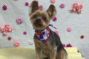 ２月のお友達☆