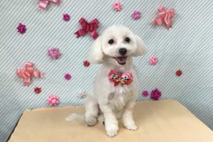 2月のお友達☆