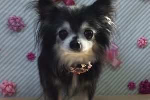2月のお友達☆