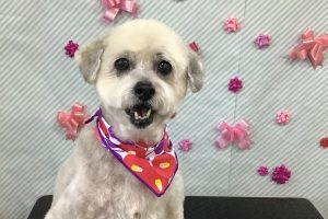 2月のお友達☆