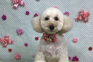 2月のお友達☆