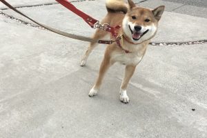 お泊り☆