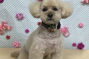 2月のお友達☆