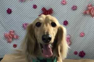 2月のお友達☆