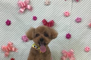 2月のお友達☆