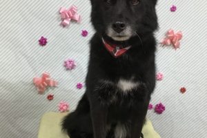 2月のお友達☆