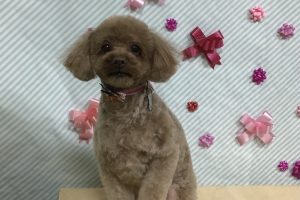 2月のお友達☆
