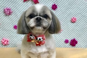 2月のお友達☆