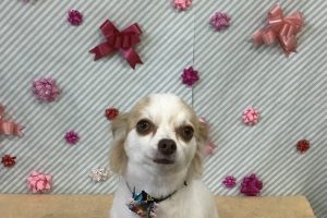 2月のお友達☆
