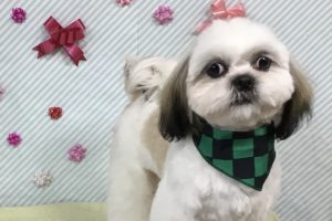 2月のお友達☆