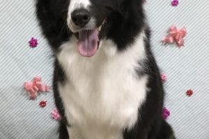 2月のお友達☆