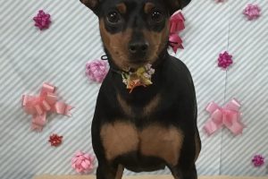 2月のお友達☆