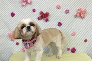 2月のお友達☆