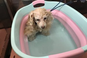 2月のお友達☆
