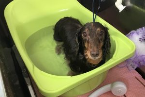 2月のお友達☆