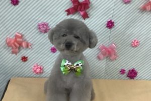 2月のお友達☆
