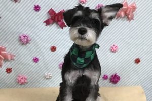 2月のお友達☆