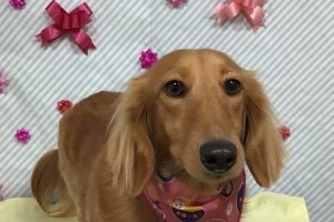 2月のお友達☆