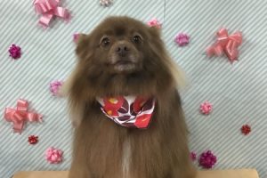 2月のお友達☆