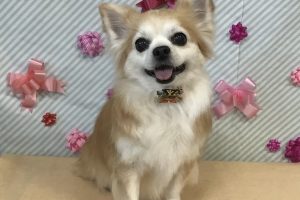 2月のお友達☆