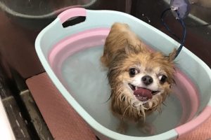 2月のお友達☆