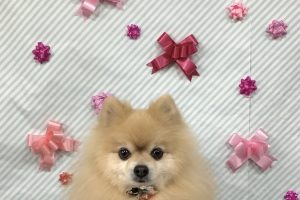 2月のお友達☆