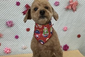 2月のお友達☆