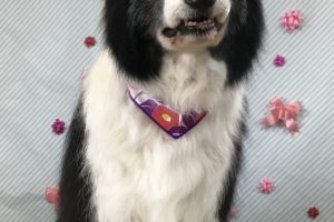 2月のお友達☆